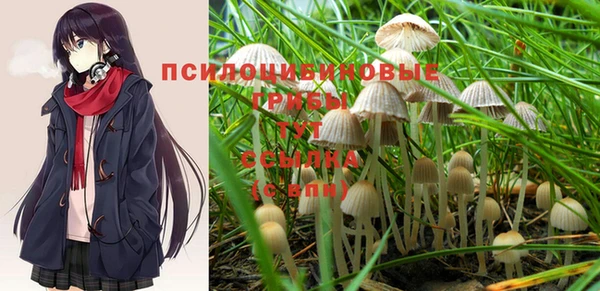 шишки Абинск