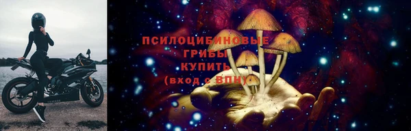 шишки Абинск