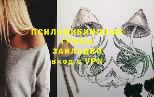 СК Абдулино