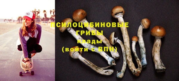 СК Абдулино