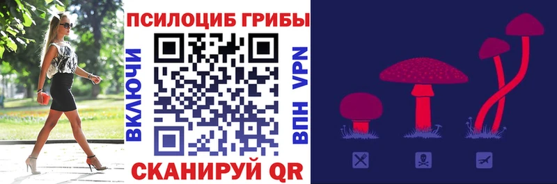 Псилоцибиновые грибы MAGIC MUSHROOMS Краснозаводск